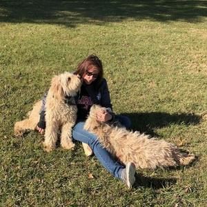 Meet your Posher, Cindy